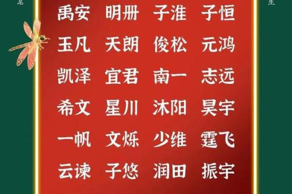 福气名字的寓意与选择指南 福气名字的寓意与选择指南