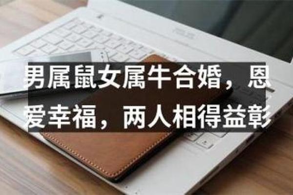 属牛男和属鼠女的性格契合度分析 属牛男和属鼠女的性格契合度分析