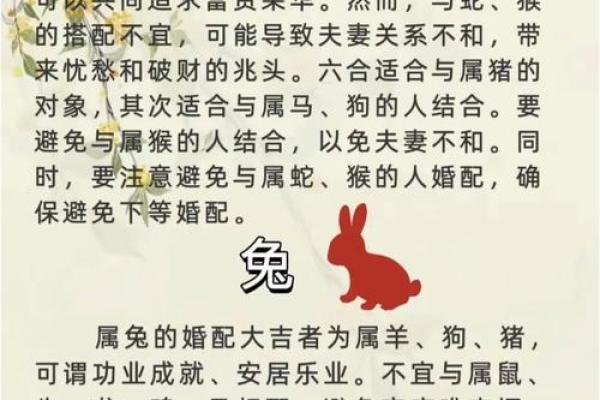 从生肖角度解读羊与猪的配对优势 从生肖角度解读羊与猪的配对优势
