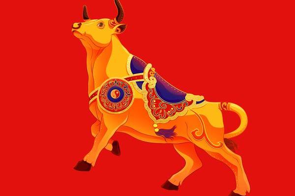 牛座运程预测:每月运势详解 牛座运程预测:每月运势详解