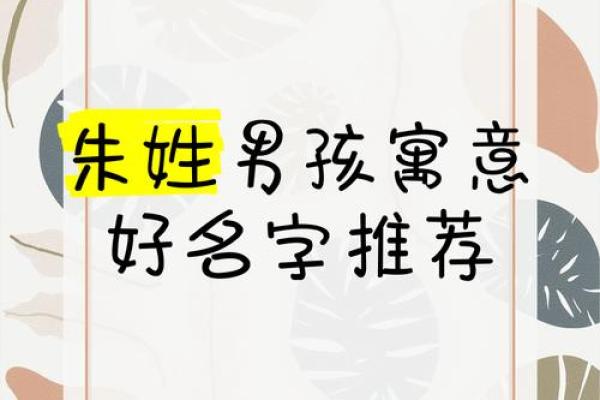 朱姓男孩名字解析:如何选择合适的名字 朱姓男孩名字解析:如何选择合适的名字