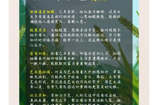 已木命的定义与特点揭秘 已木命的定义与特点揭秘
