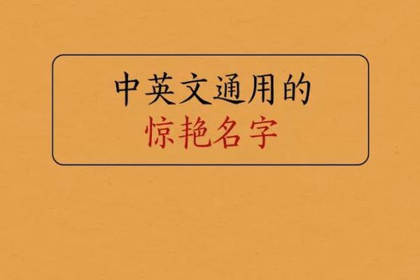 英文起名网推荐:适合不同场合的英文名字 英文起名网推荐:适合不同场合的英文名字