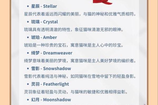 英文起名网的优势:轻松为孩子取个洋气名字 英文起名网的优势:轻松为孩子取个洋气名字