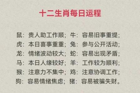 生肖运程解析：哪些生肖迎来好运？