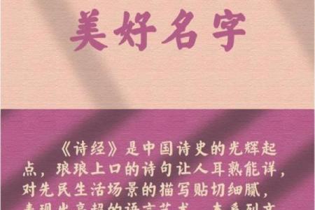 诗词起名的艺术：如何通过诗意赋予名字深刻内涵