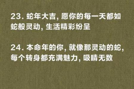 属蛇人在本命年如何调节工作压力