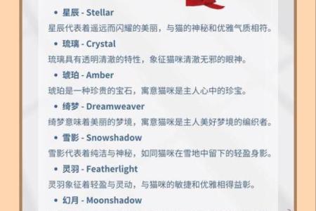 英文起名网的优势：轻松为孩子取个洋气名字