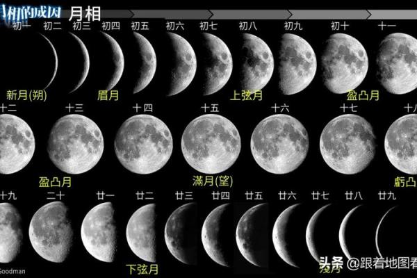 农历对照表大全:从年初到年末全覆盖 农历对照表大全:从年初到年末全覆盖
