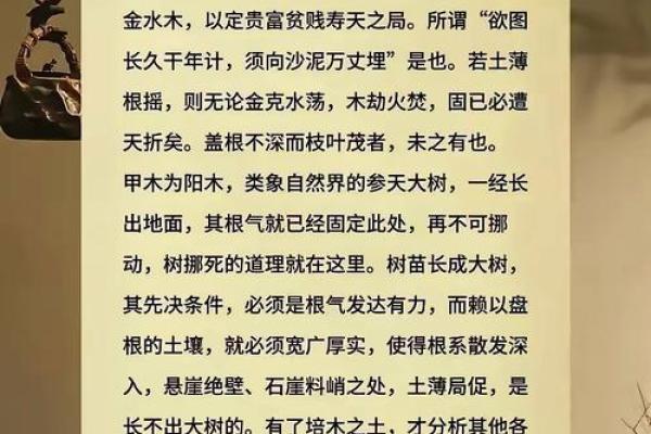 坤字五行属性解析及其在命理中的意义 坤字五行属性解析及其在命理中的意义