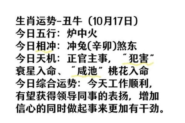 今日运程预测:生肖运势全面分析 今日运程预测:生肖运势全面分析