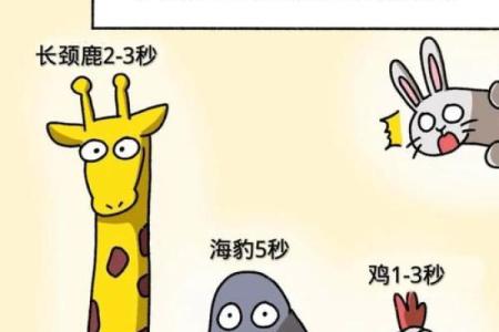 兔与马的星座配对分析 是否天作之合