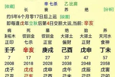 教师八字深度解析：命运对教育事业的影响与启示