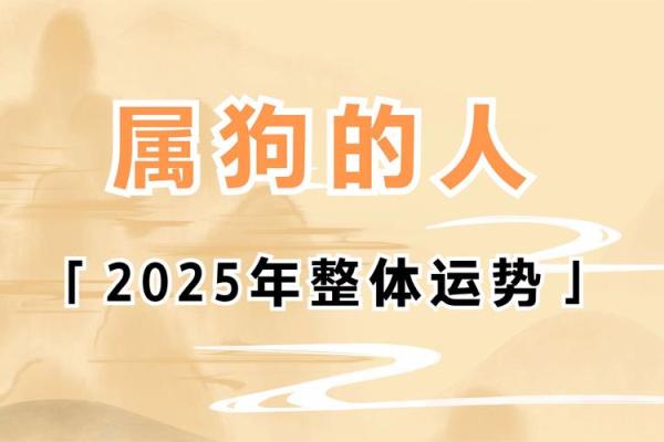 出生的属狗人运势预测 出生的属狗人运势预测
