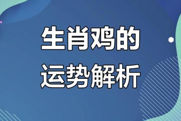 属鸡人每月运程解析,运势起伏如何应对 属鸡人每月运程解析,运势起伏如何应对