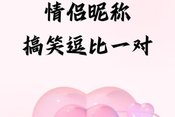 逗比名字背后的趣味与创意 逗比名字背后的趣味与创意