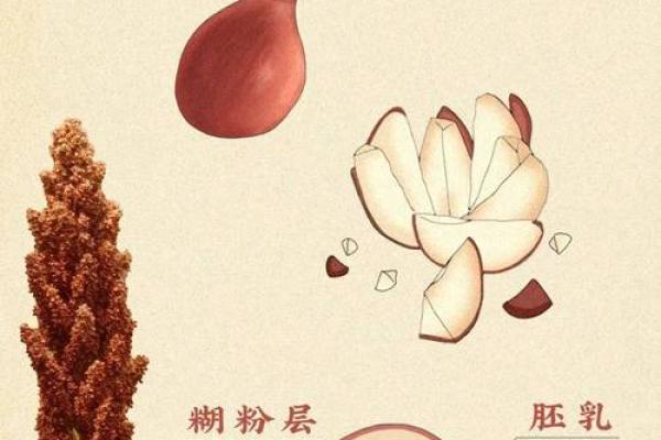 酒名里的传统与创新,探索不同地区的酿酒特色 酒名里的传统与创新,探索不同地区的酿酒特色