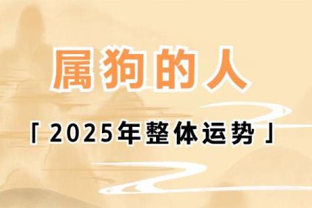 出生的属狗人运势预测