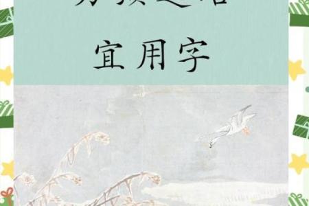 给男宝宝起名的创意灵感