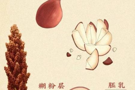 酒名里的传统与创新，探索不同地区的酿酒特色