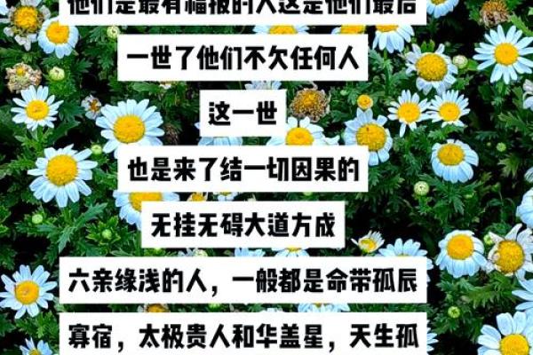 仙命的真正含义是什么?揭秘背后的深刻内涵 仙命的真正含义是什么?揭秘背后的深刻内涵
