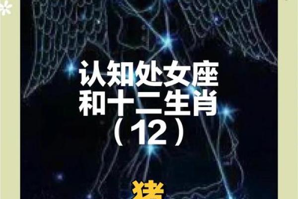 属猪与属马的爱情能长久吗?全面解析两者的关系匹配度 属猪与属马的爱情能长久吗?全面解析两者的关系匹配度