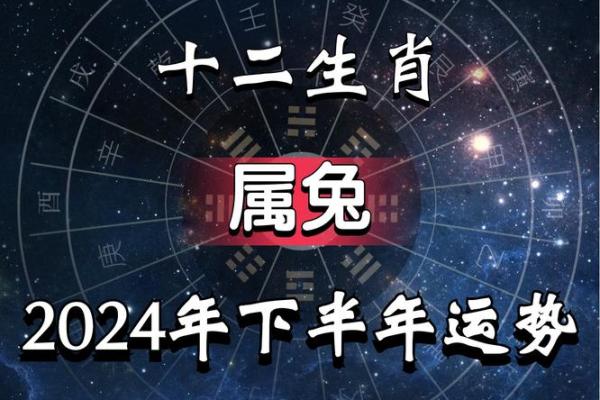 属兔人在本命年如何增强团队合作精神 属兔人在本命年如何增强团队合作精神