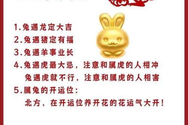属兔人在本命年如何增强团队合作精神 属兔人在本命年如何增强团队合作精神