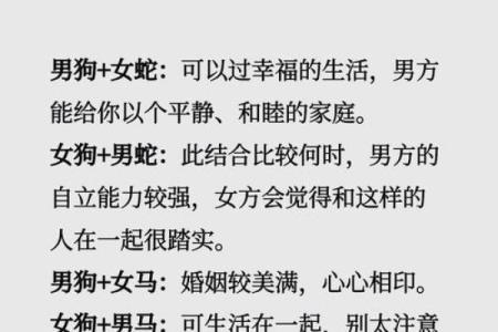 探索女龙和男虎的性格与婚配契合度