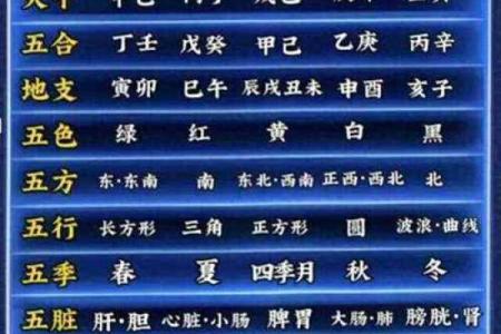 五行属性解析：如何运用五行提升你的运势与生活质量