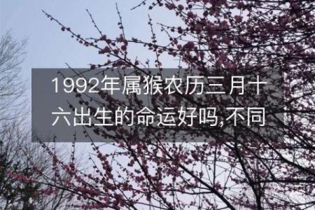为什么农历三月十六特别值得关注