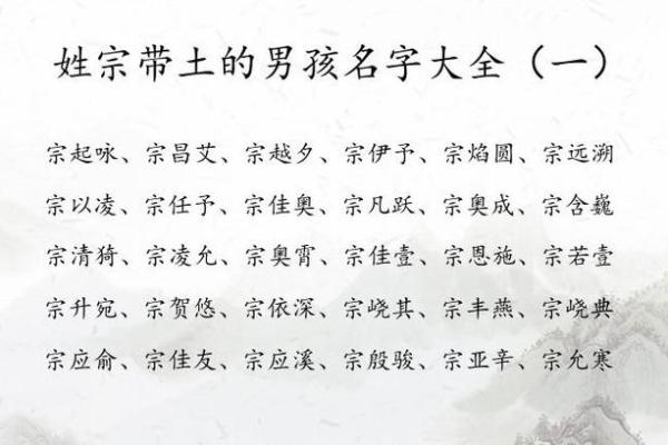 为宗姓猪宝宝起名，打造独特且吉祥的名字