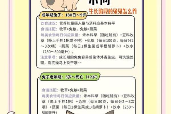 兔女运程大揭秘:如何在兔年获得事业突破 兔女运程大揭秘:如何在兔年获得事业突破