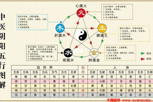 金木水火土五行与生辰八字的奥秘,如何改变你的人生运势 金木水火土五行与生辰八字的奥秘,如何改变你的人生运势