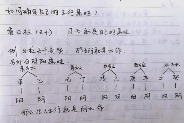 戊午月五行解析:如何理解其对命运的影响 戊午月五行解析:如何理解其对命运的影响