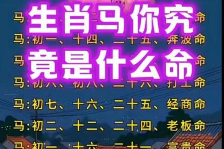 属马人本命年如何恢复精神活力