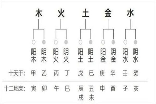 八字相生相克的秘密:如何通过命理改善运势 八字相生相克的秘密:如何通过命理改善运势