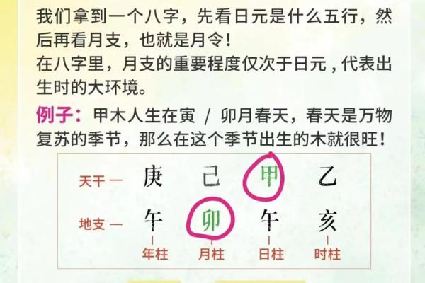 揭秘八字的奥秘,如何通过它看透命运 揭秘八字的奥秘,如何通过它看透命运