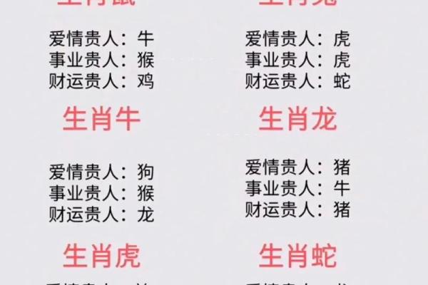 家居风水与属相的关系解析:如何根据生肖调整家居布局 家居风水与属相的关系解析:如何根据生肖调整家居布局