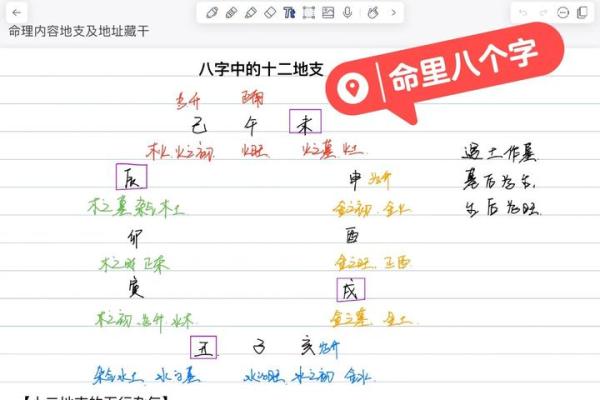 新字的五行属性解析及其对命理的影响 新字的五行属性解析及其对命理的影响