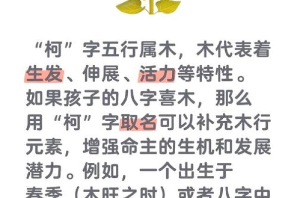 新字的五行属性解析及其对命理的影响 新字的五行属性解析及其对命理的影响