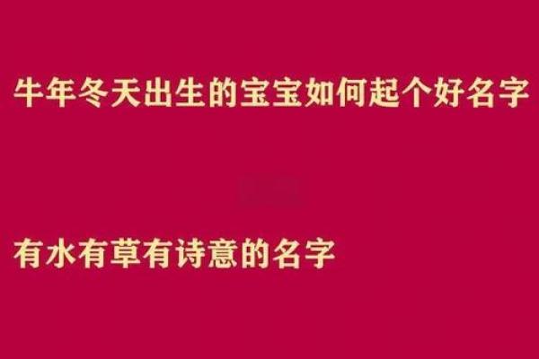 牛年宝宝名字大全:涵义深刻的名字推荐 牛年宝宝名字大全:涵义深刻的名字推荐