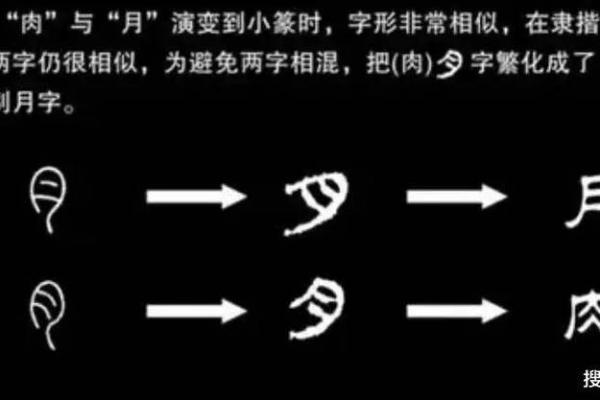月字五行属性解析及其在命理中的应用 月字五行属性解析及其在命理中的应用