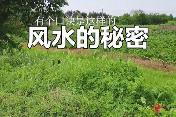 风水宝地图片揭秘：如何判断适合的地理位置