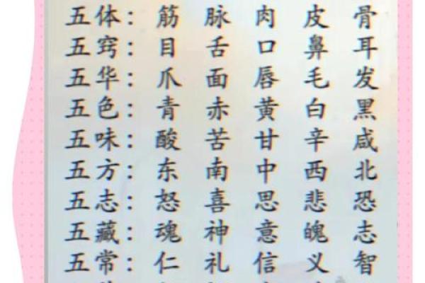 样五行属什么?揭秘样五行的奥秘与影响 样五行属什么?揭秘样五行的奥秘与影响