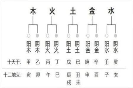 八字相生相克的秘密：如何通过命理改善运势