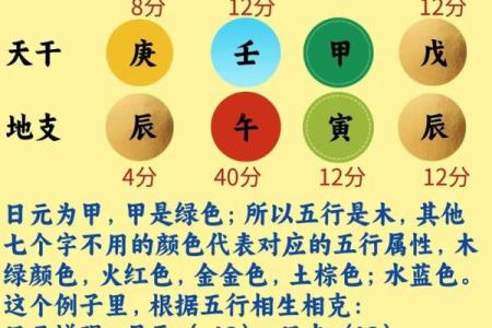 命理与健康：从八字看身体的强弱与调理之道