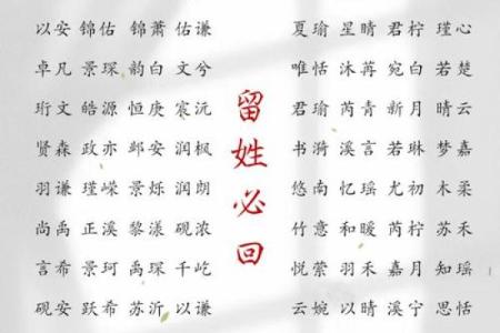 男宝宝取名字大全与精选推荐