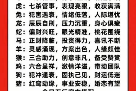 日运程详解，掌握今日的好运与风险
