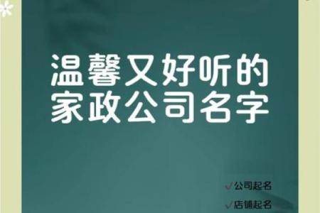 从传统到现代：家政公司命名的风格推荐